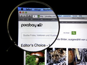 Kaiyun官方登录入口-体育新闻中心发布体育短视频传播效果白皮书，体育短视频成为平台和用户的新宠